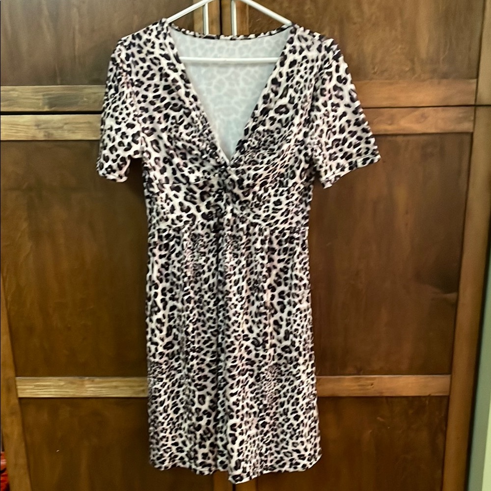 Leopard Print V-Neck Dress